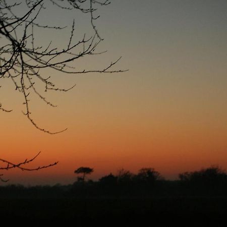 Gite Le Coucher De Soleil Plessé Zewnętrze zdjęcie