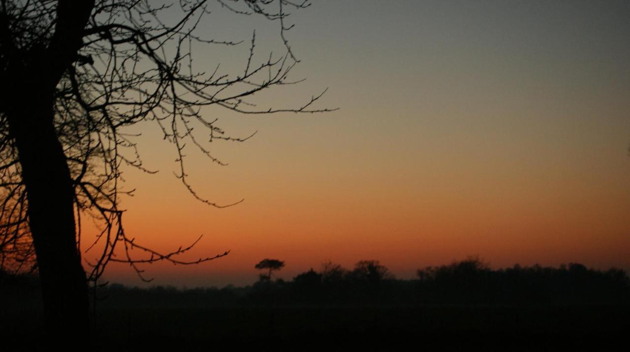 Gite Le Coucher De Soleil Plessé Zewnętrze zdjęcie